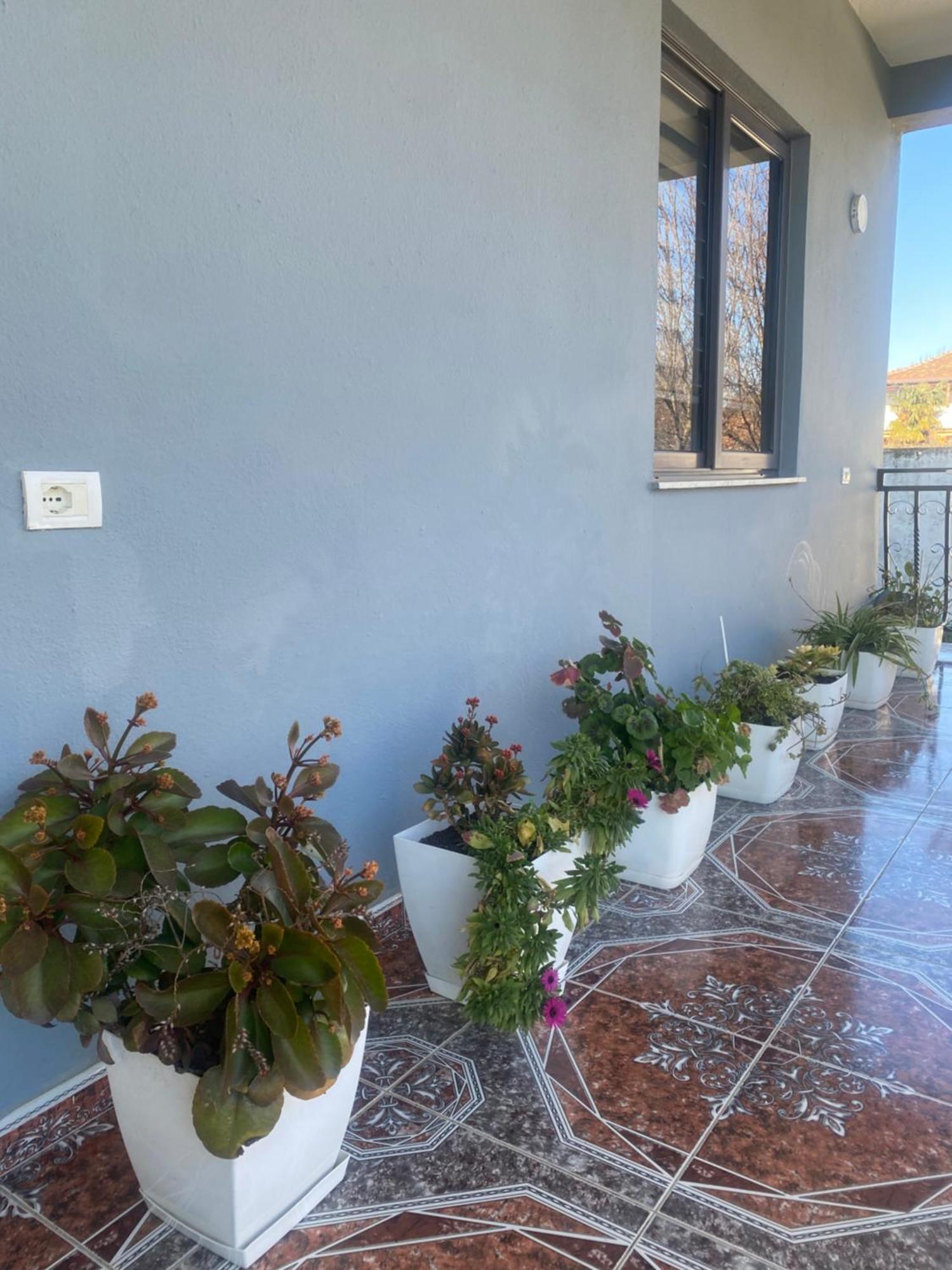 The Hideaway Guesthouse Bahçallëk Екстериор снимка